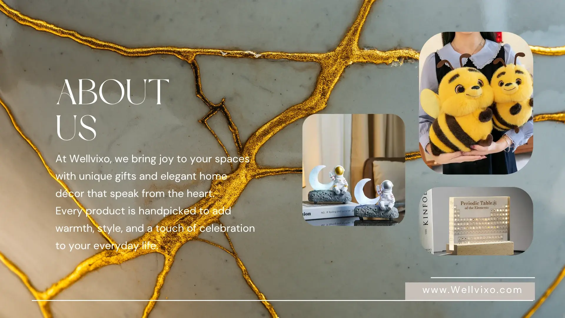 AboutUs_SliderForWellvixo